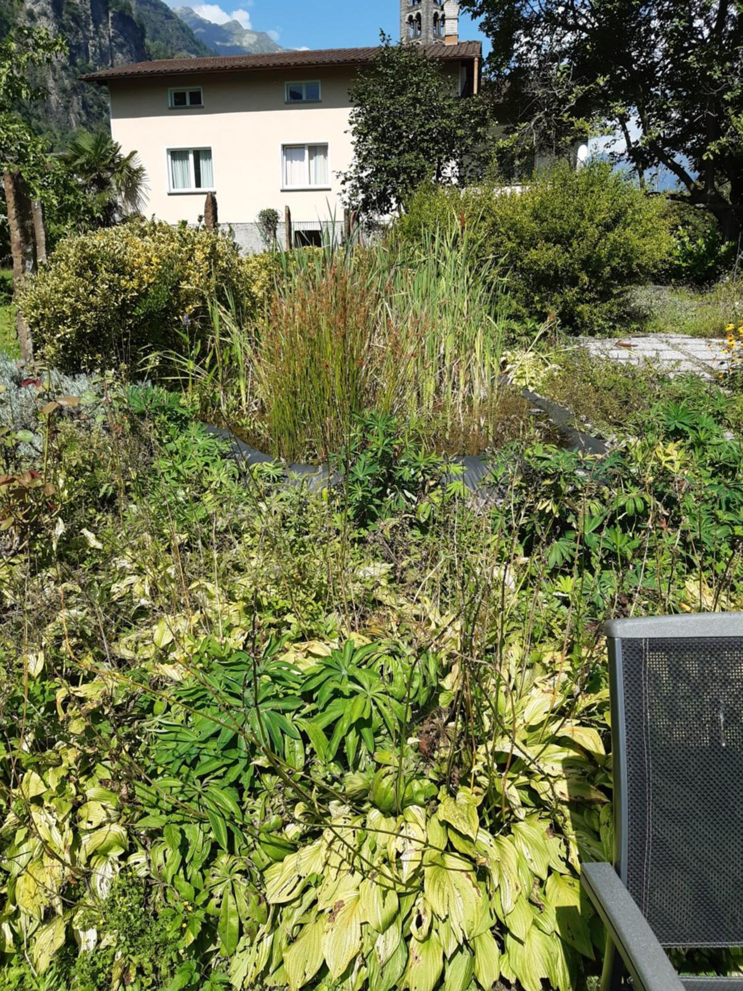 古洛特佩尔古拉住宿加早餐旅馆 Giornico 外观 照片