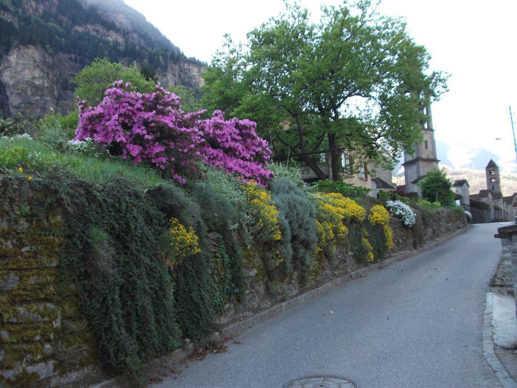 古洛特佩尔古拉住宿加早餐旅馆 Giornico 外观 照片