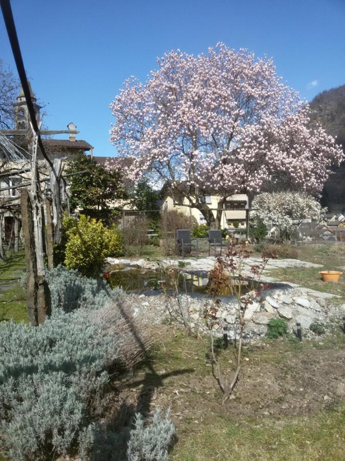 古洛特佩尔古拉住宿加早餐旅馆 Giornico 外观 照片