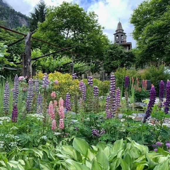 古洛特佩尔古拉住宿加早餐旅馆 Giornico 外观 照片